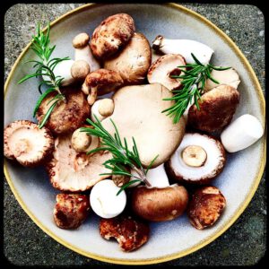 Paddenstoelen