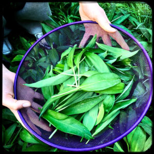 Zaterdag 21 maart | Lentekriebels